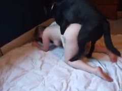 Fuck-hungry Indian bitch likes getting drilled right in her wet crack by a large dog 